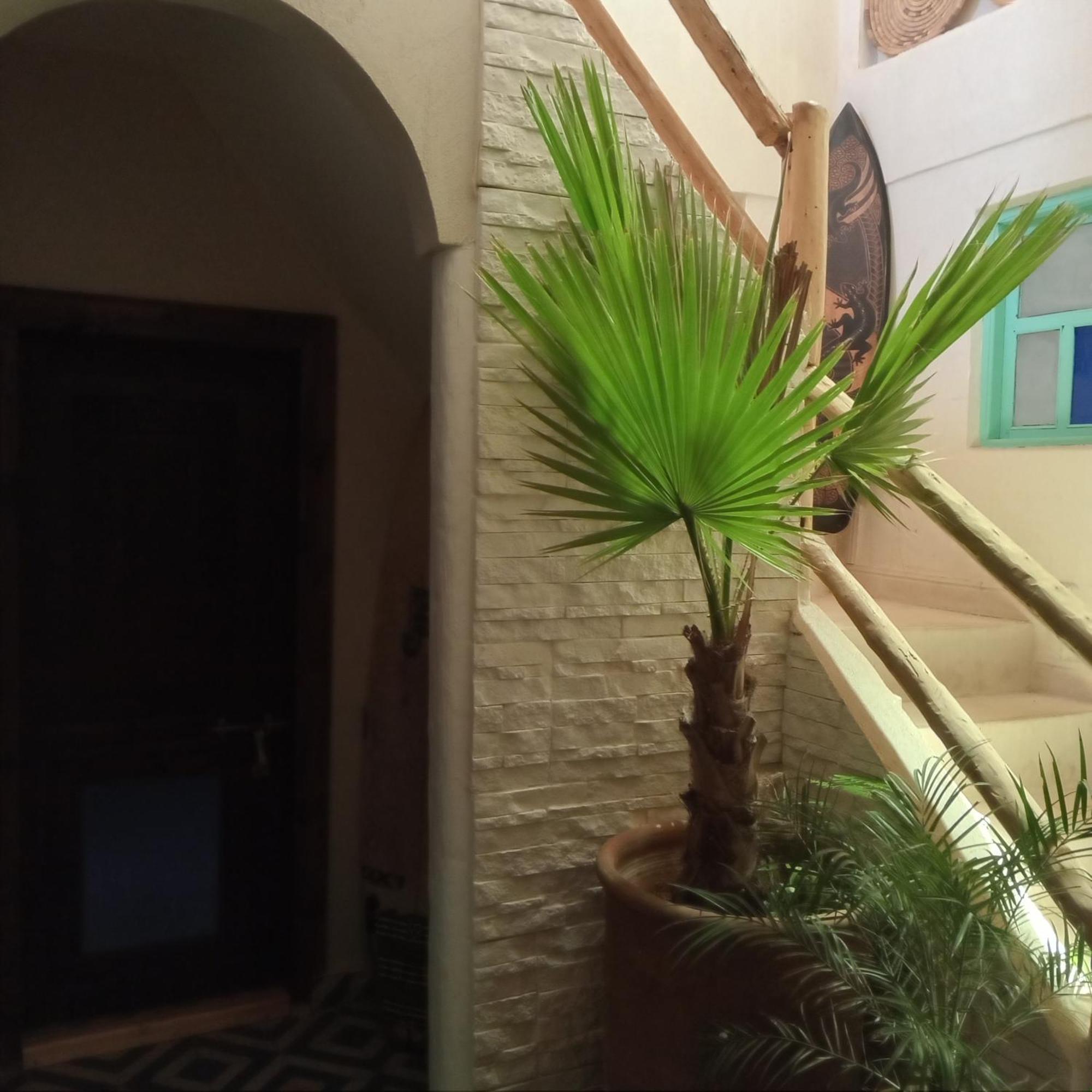 Moroccan Boho Surf House Agadir Exterior photo
